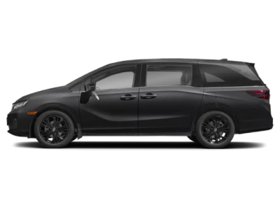 Profile, Facing to the Left