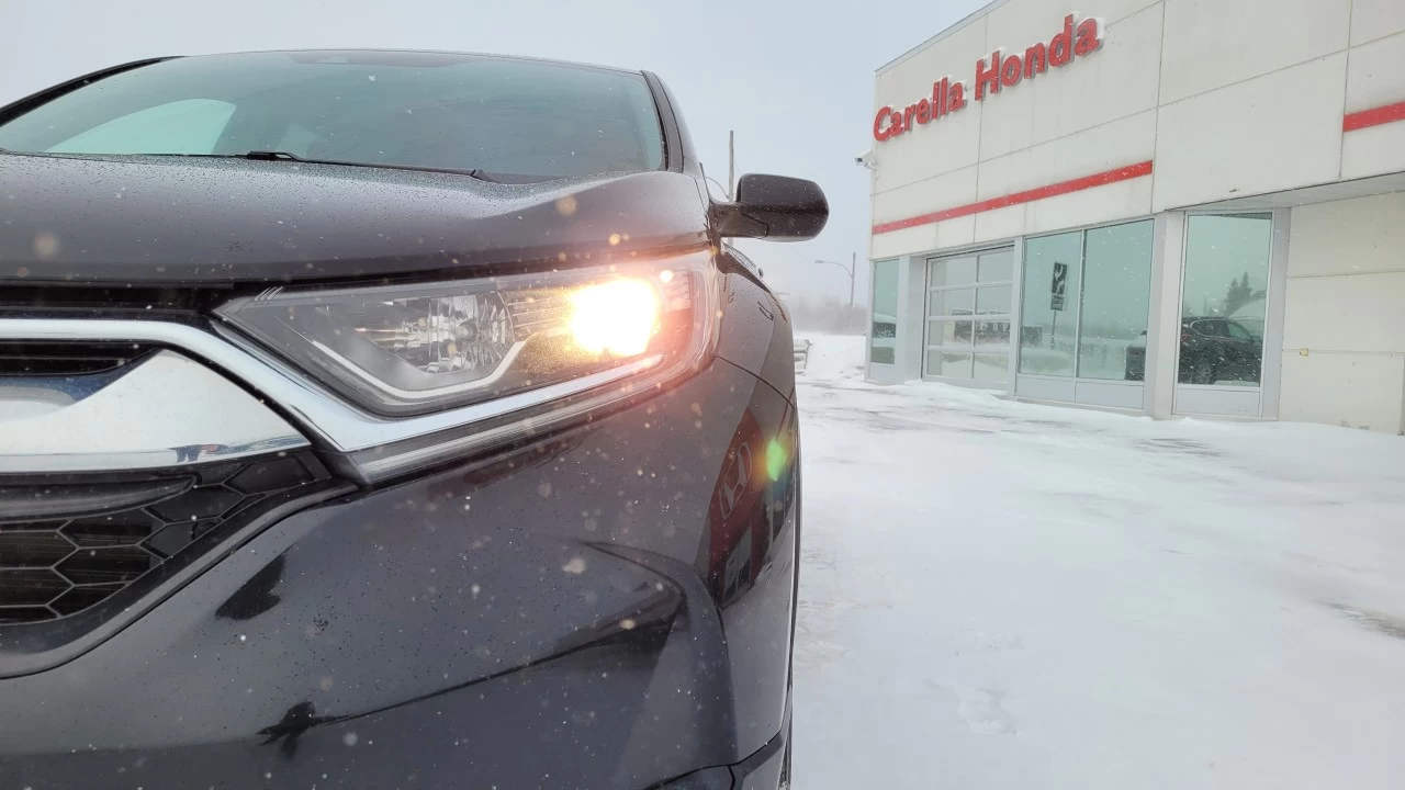 2019 Honda CR-V LX Image principale