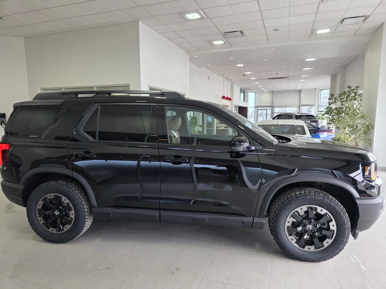 2026 Honda Passport TrailSport Touring Main Image