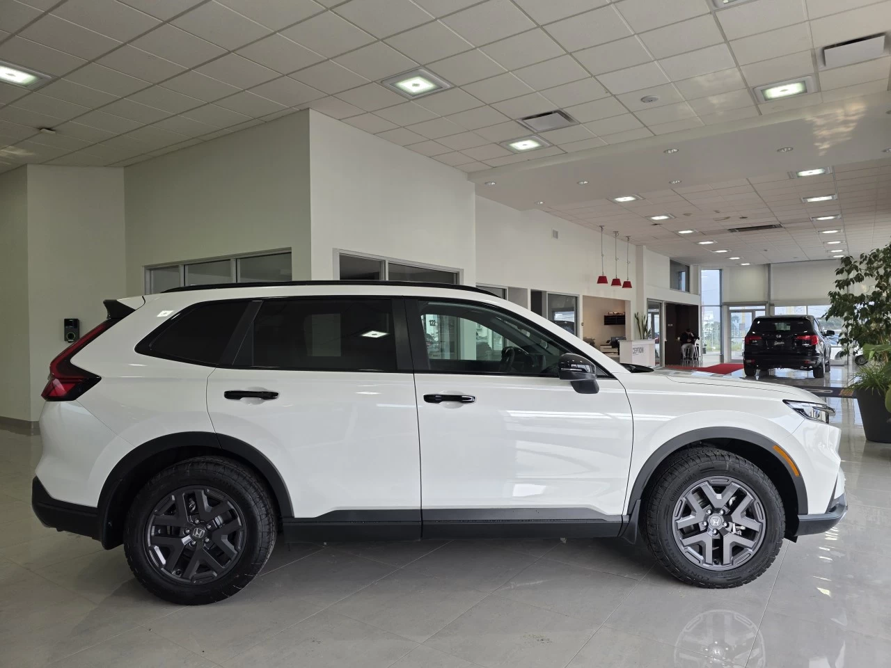 2026 Honda CR-V TrailSport Main Image