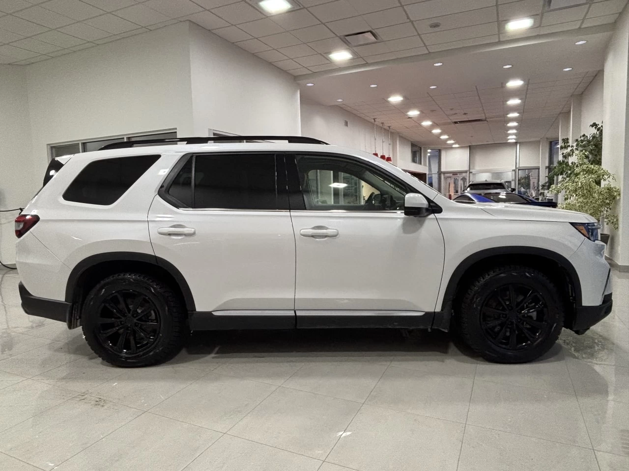 2025 Honda Pilot Touring Main Image