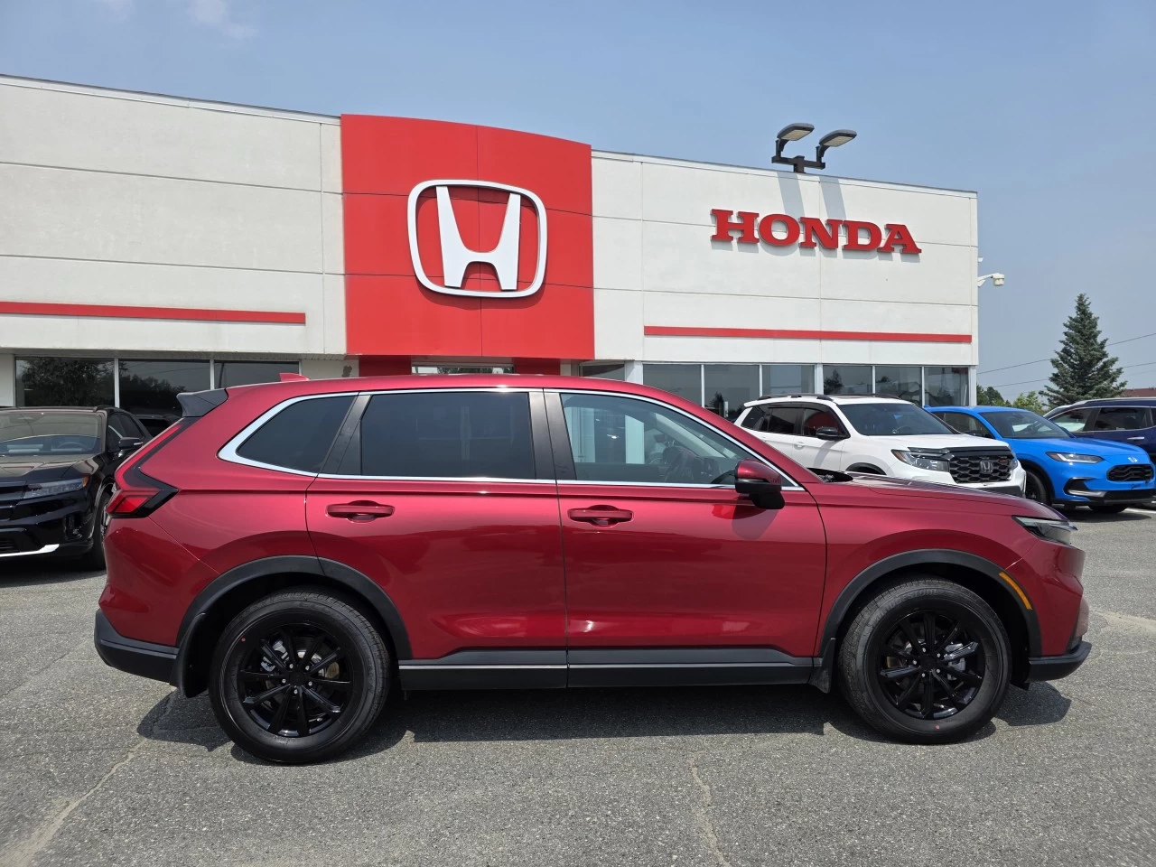 2025 Honda CR-V LX Main Image
