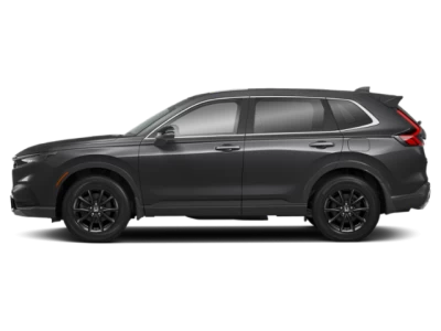 Profile, Facing to the Left